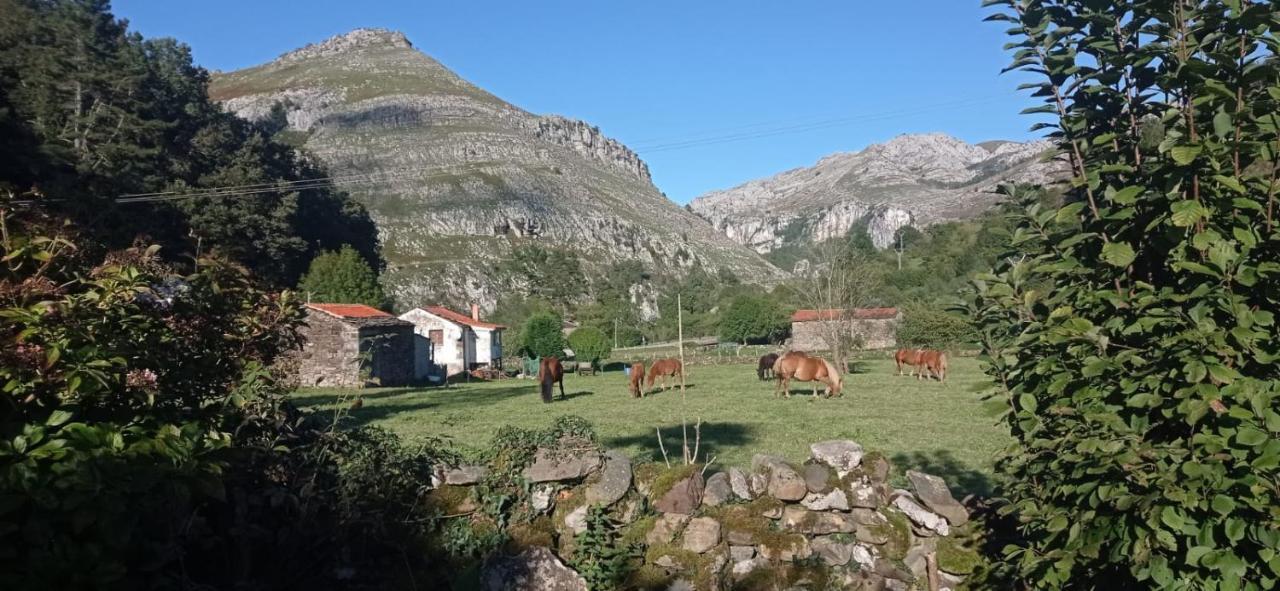 Amplia Y Comoda Casa De Piedra Con Porche Y Jardin San Roque de Ríomiera Exterior foto