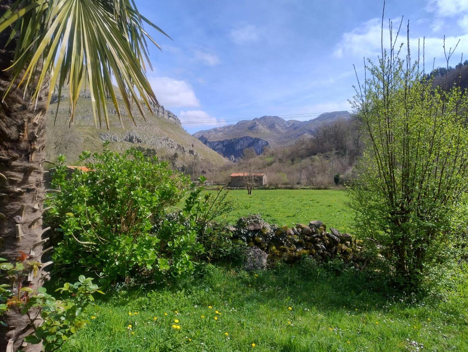 Amplia Y Comoda Casa De Piedra Con Porche Y Jardin San Roque de Ríomiera Exterior foto